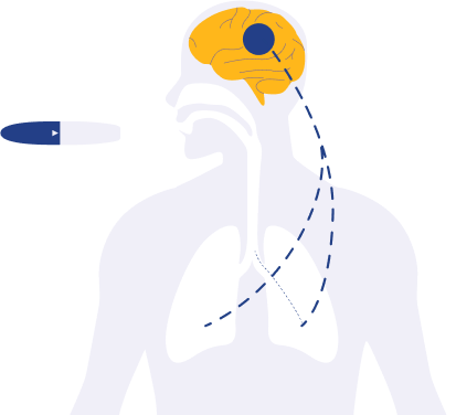 Medical illustration of INBRIJA absorption