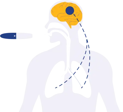 Medical illustration of INBRIJA absorption